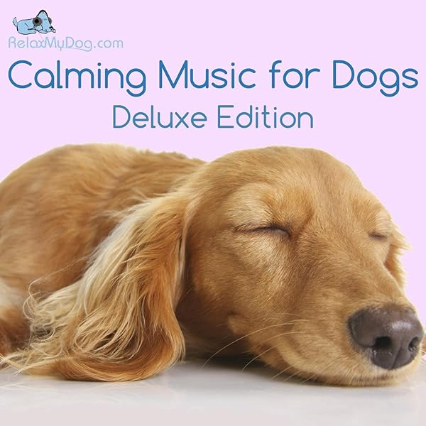 calming music for dogs anxiety