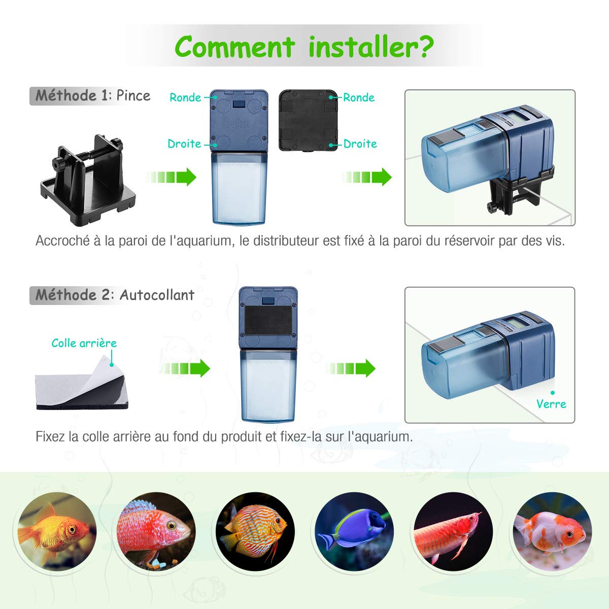 isYoung 175ML Distributeur de Nourriture pour Poissons Automatique Numérique Alimentateur de Poissons Multifonctionnel pour Aquarium,Écran LCD Pendant Vacances/Déplacement/Hors de la Maison