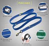 Truelove TRUE LOVE Dog Leash Padded Reflective 110cm Blue M TLL2111 view 2