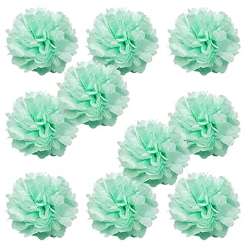 Amazon Com Wyzworks Set Of 10 Seafoam Green 12 10 Pack