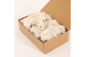 Dallisten Moss Preserved, Craft Reindeer Green Decorative Moss for Enchanted Forest Decorations, Fairy Garden, Party, Art Wall, Indoor Potted Plants,Table, Terrariums, Bonsai Decor (White,3.6OZ)