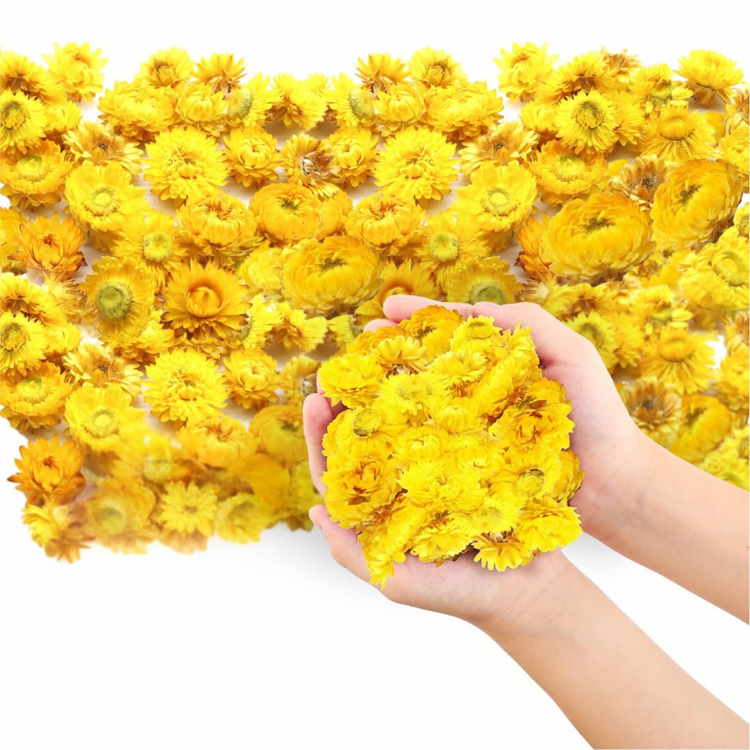 Photo 1 of Dried Flower Yellow Straw Daisy Biodegradable Confetti - Flower Petals for Weddings, Flower Girl Toss, Wedding Send Off Ideas, Party Table Decoration | Boxed - 8oz (0.5lbs)