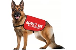 JXGZSO Adopt Dog Jacket Vest I’m A Foster Dog Jacket Vest New Puppy Dog (Adopt Foster M)