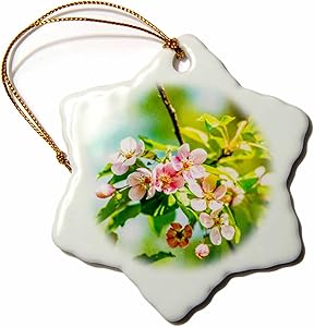 3dRose Apple Tree in Bloom Bunch of Shining Flowers Snowflake Ornament, 3
