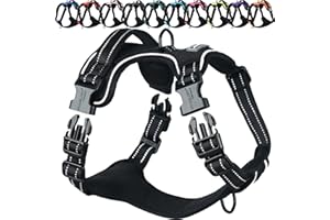 VIVAGLORY Dog Harness Easewalk No Pull Dog Harness with Handle Front Clip & Back Clip for Training Walking Lifting, No Pull A