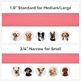 Joytale Padded Handle Dog Lead Double-Sided Reflective Nylon 1.2m Neon Pink view 6
