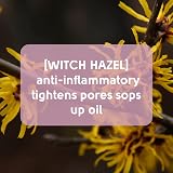 Pretty Face Facts Forehead & Chin Pore Strips Witch Hazel 6 Pack view 2