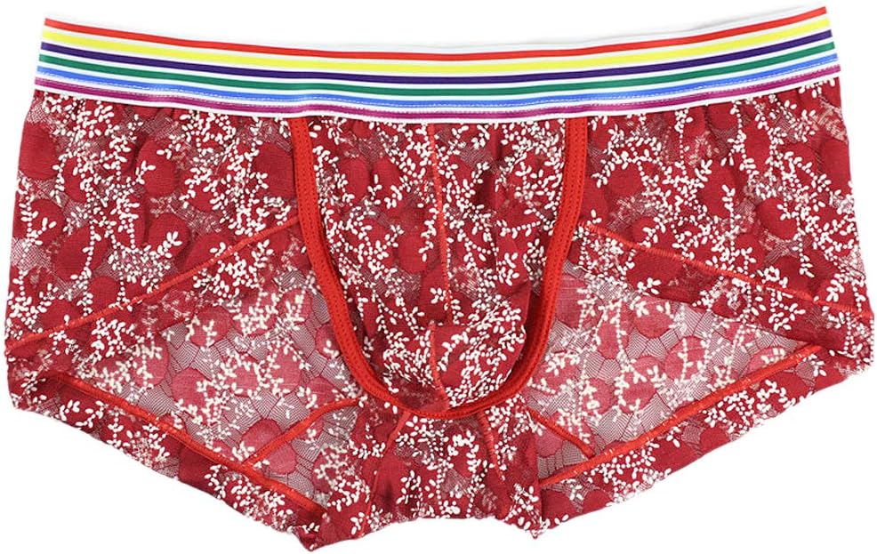 Testudineus Men's Sheer Mesh Boxer Shorts See-Through Underwear Briefs Swimsuit Trunks Underpants