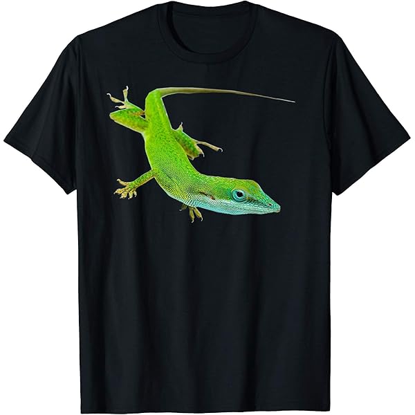 Amazon.com: Gecko Lizard Abstract Art T-shirt T-Shirt