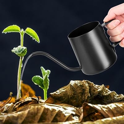 XTDMJ 250 ml Black Watering Can for Small Indoor Plants Stainless Long Spout