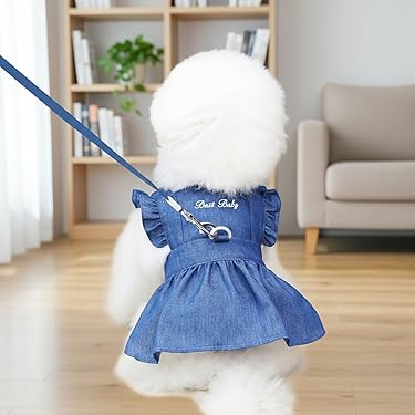 sachin and babi light blue dress Bloomingtails Dog Boutique