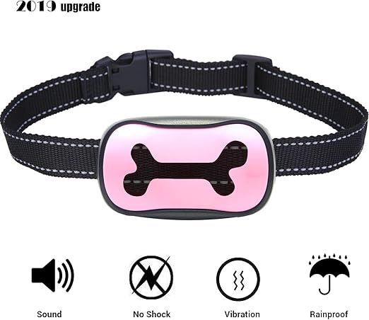no shock dog collar