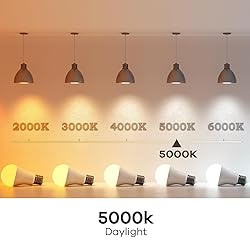 Linkind A19 LED Light Bulb, 60W Equivalent Light