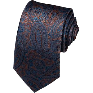 Passabin 40 Colors Men's Ties Pasiley Neckties Formal Black Ties For Men