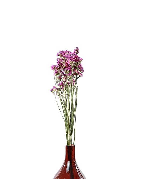 Buy Bunch Of Pink Dried Flowers Statice 5 Stems Naturally Dried Flowers Home Decor Photo Props Dried Flower Bouquet Online At Low Prices In India Amazon In
