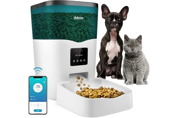 time delay cat feeder