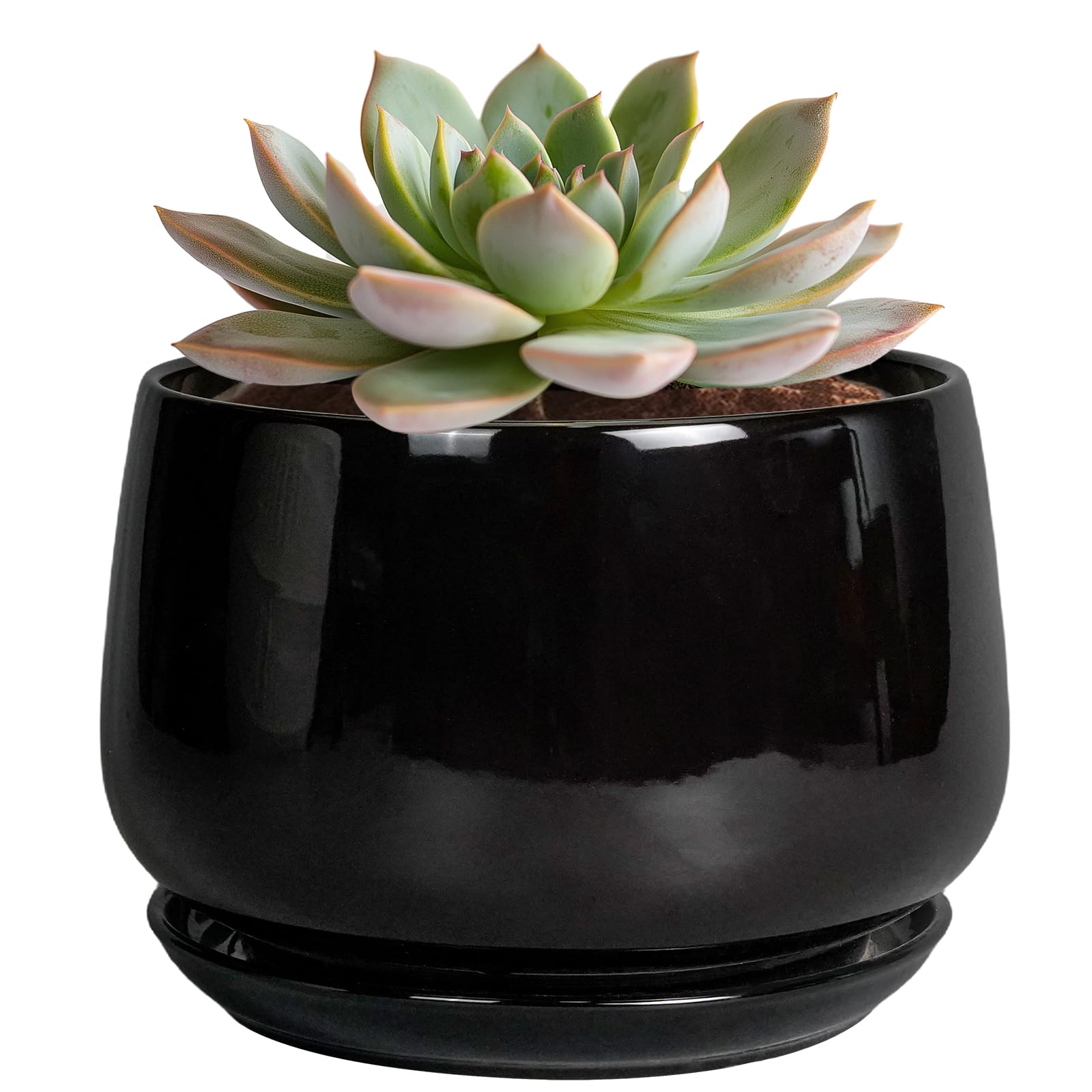 Photo 1 of G EPGardening 6 Inch Planter - Ceramic Pot for Plants, Ceramic Planter with Drainage and Saucer, Round Flower Pot Indoor Outdoor, Modern Room Decor, Home Gifts, Black