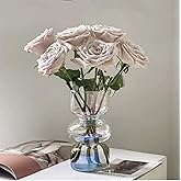 JSPYFITS Glass Hydroponic Flower Vase, 7 Inches Colored Glasses Bubble Vase for Flower, Three-Layer Glass Funky Vases for Home/Office/Weddings/Party Table Flowers Decor (Iridescent Clear)