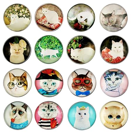 Cosylove 16pcs Imanes de refrigerador con Forma de Gato Lindo ...