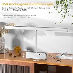 Picture Light with Remote, 20inch Wireless