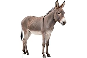 DP BOUTIQUE Nativity Donkey 4FT Life Size Cardboard Cutout, Christmas Nativity Scene Decoration, Safari Theme Standup, Animal Photo Prop for Xmas, Holy Family Christian Party & VBS Supplies, 1 PC