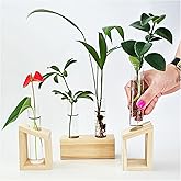 kinroxy Plant Propagation Station - 3-Piece Wooden Stand with 4 Glass Test Tubes, Terrarium Vases for Plants, Hydroponic Propagation Planter for Home office Decor, Plant Lover Gift.