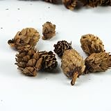 Craftplay Larch Cones 125 g Natural Crafting Potpourri 98 pcs view 2