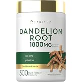 Carlyle Dandelion Root Extract | 300 Capsules | Herb Supplement | Taraxacum Officinale | Non-GMO and Gluten Free