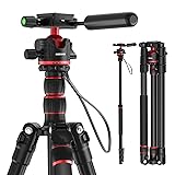NEEWER Basics Camera Tripod Monopod, 77" Compact