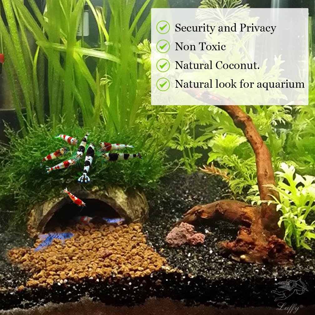 SunGrow Organic Coco Shrimp Cave : Comfortable Hideout for Shrimp : Perfect Breeding Area : Naturally Attractive & Non Toxic : Unique Aquarium Decoration