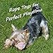 Puppy Chew Teething Rope Toys Set, Mini Dental Pack For Small To Medium Dogs