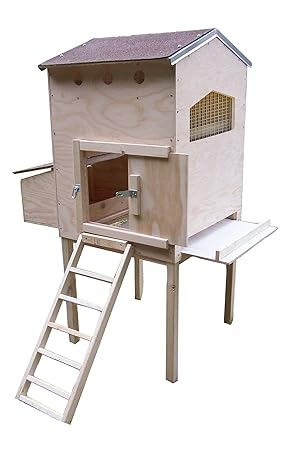 Creative Coops Hen House Starter Kit Small Amazoncouk Garden