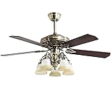FINXIN Indoor Ceiling Fan Light Fixtures LED 52