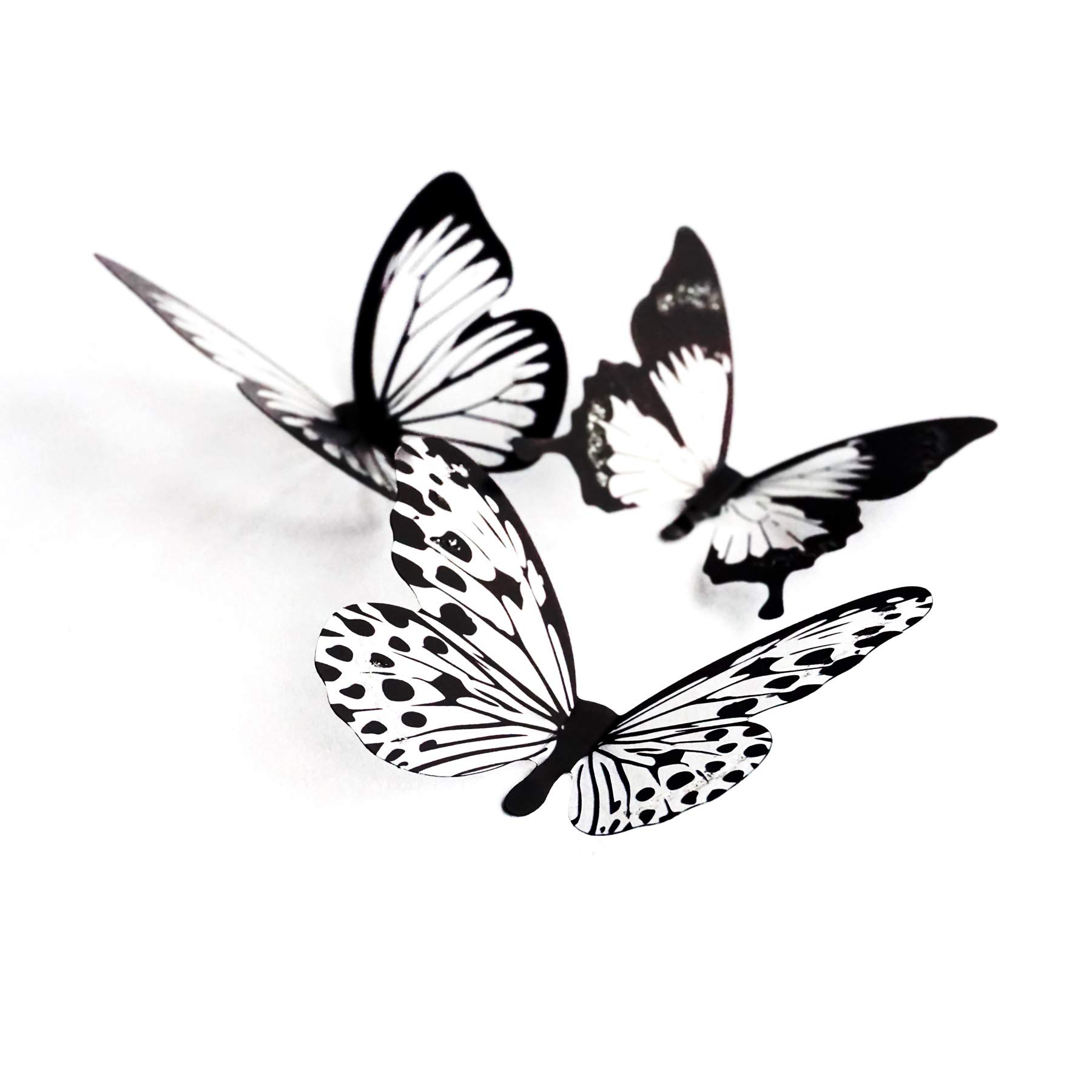 Artery8 Three Black White Butterflies Group Collage Photo Premium Wall Art Canvas Print 18X24 Inch