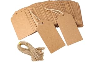 100PCS Kraft Paper Gift Tags with 100 Root Strings, Hang Tag Labels, Blank Tags for Presents, Craft Projects, Xmas Gift, Gift