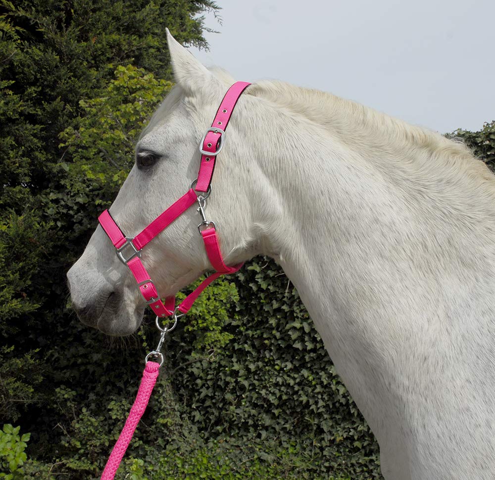 Rhinegold Unisex's Carnival Headcollar & Rope, Bright Pink, Cob