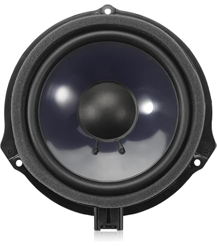 Amazon.com: Ford 2013-2020 Fusion OEM Genuine Round Speaker