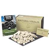 Natura Uralis Siberian Yellow Clay | 35oz Natural Clay, Pastel to Golden - Amazing Crunch, Satisfying Earthy, Velvety and Firm Texture, ASMR Sensation