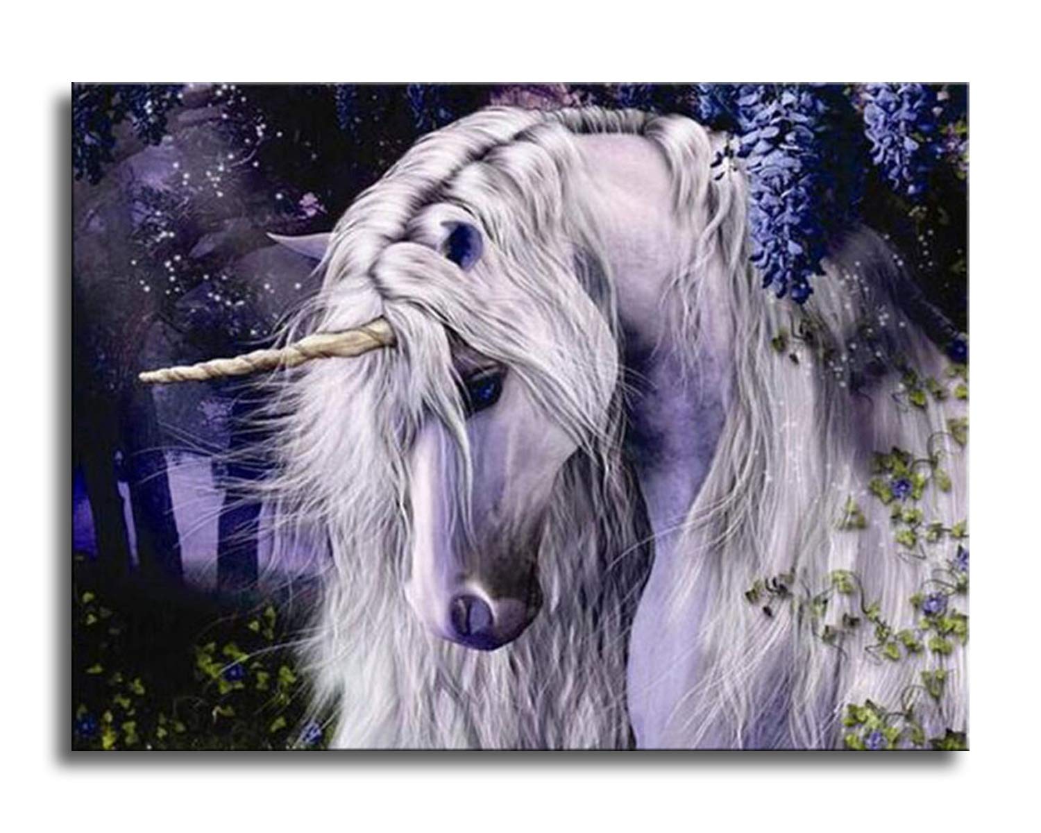 Paint by Number Kits, Shukqueen DIY Oil Painting for Adults, Beginner's, Unicorn