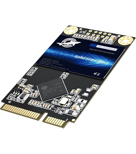 Amazon.com: SSD mSATA 500GB Dogfish Internal Solid State Drive