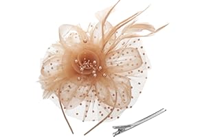 GHGMAO Fascinators Hats for Women Tea Party Hat Kentucky Derby Headband Mesh Flower Feathers Hair Clip for Wedding Cocktail