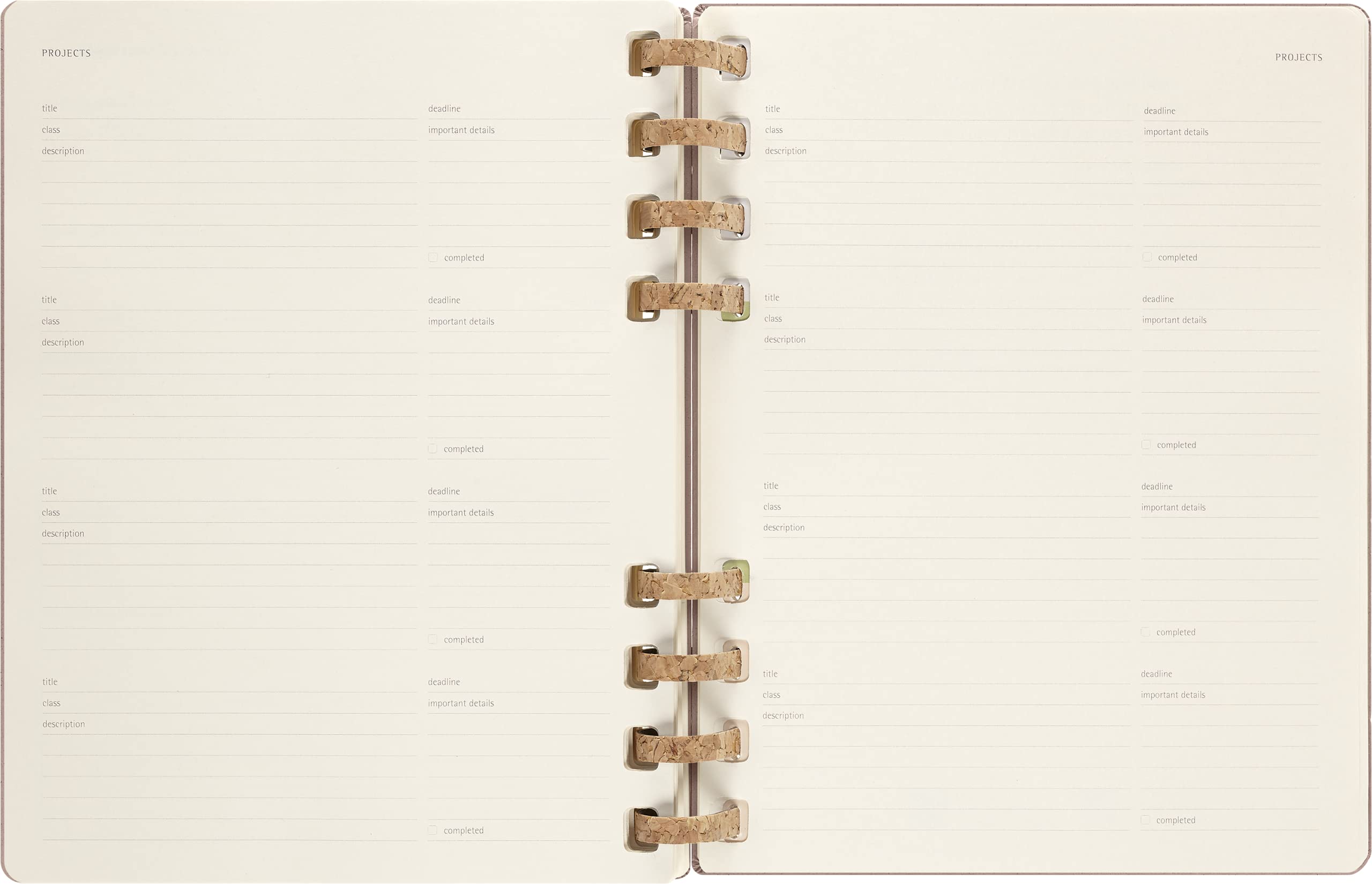 Moleskine 2024 Spiral Academic Planner, 12M, Extra Large, Crush Almond, Hard Cover (7.5 x 10)