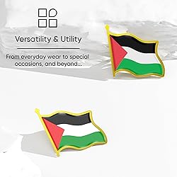 Palestine Flag Lapel Pin - Enamel Metal National