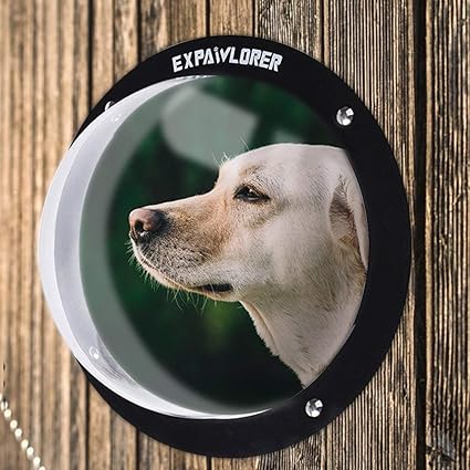 Amazon Com Expawlorer 2 Pack Dog Fence Window For Pet Durable