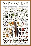 Spices and Culinary Herbs Gourmet Kitchen Cooking Print Poster 24x36