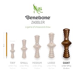 Benebone Zaggler Rolling Dog Chew Toy for