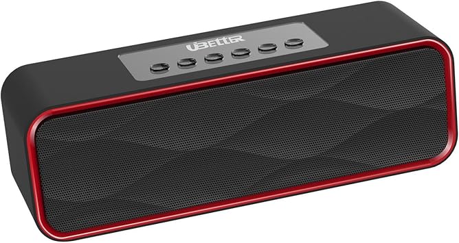 duo portable speaker