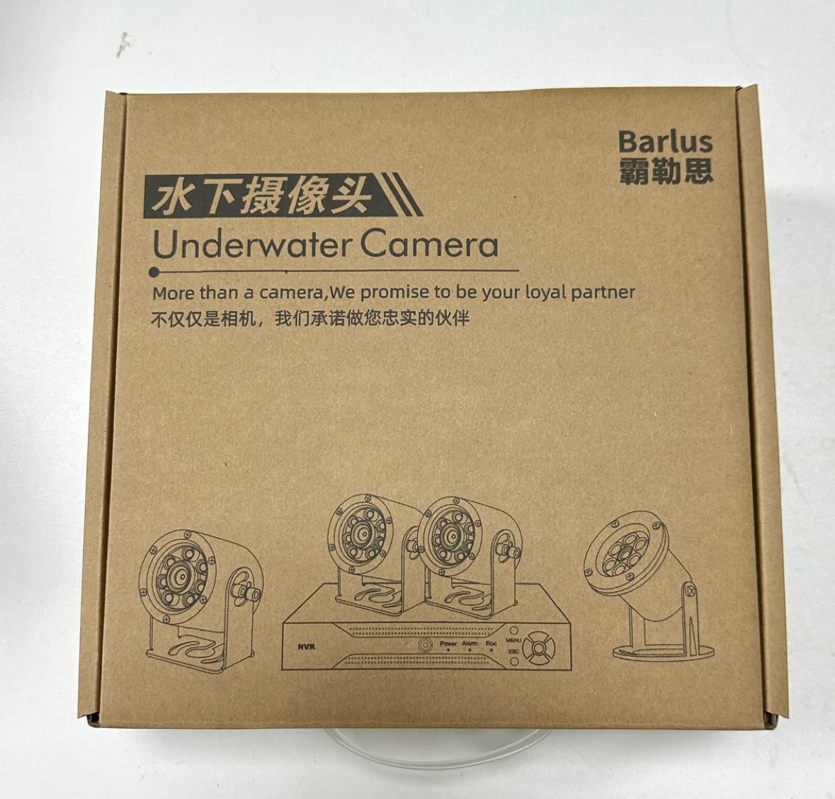 Underwater Cameras 304 Stainless Steel IP68 5MP 2592×1944 POE IP Camera 32Ft Cable Koi Pond Camera