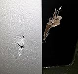 Review Image by Amazon Customer Amazon Customer