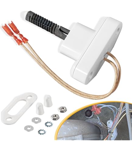 Amazon.com: Zodiac Champlain Plastics R0719400 Electronic Flue